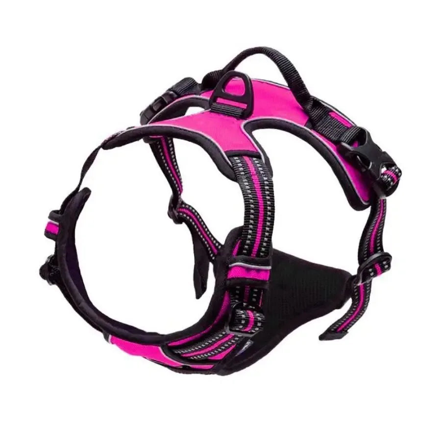 The SecureStride No-Pull Harness