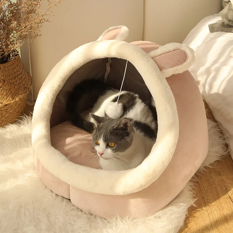 The Perfect Shelter for Your Cat