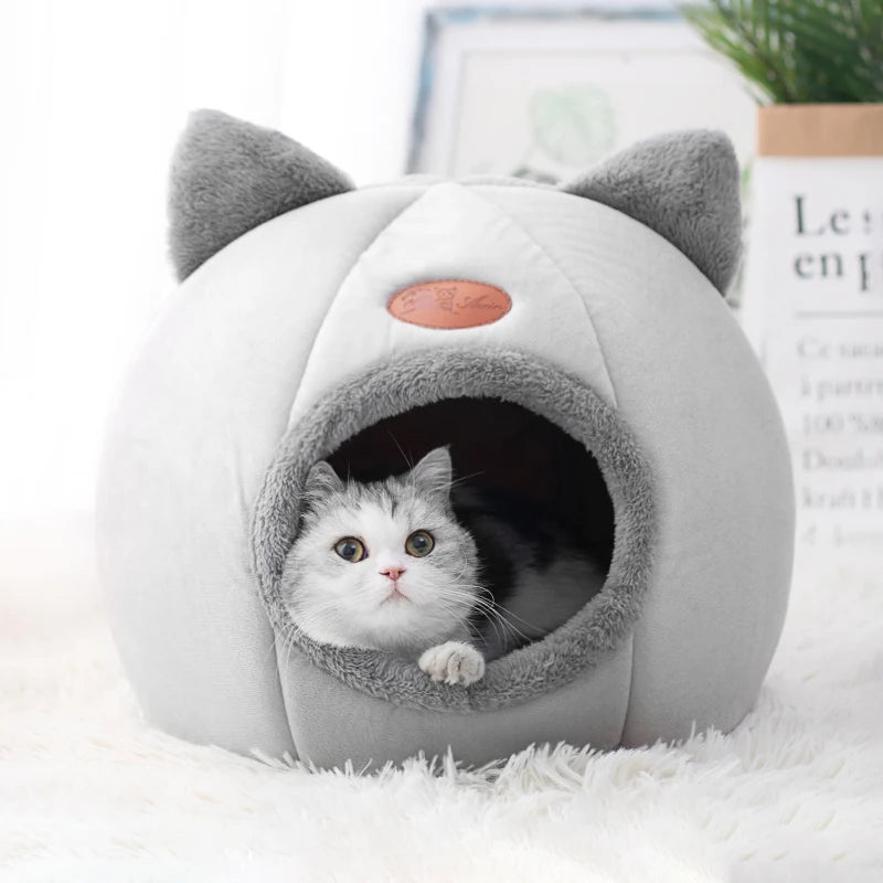 Your Cat's Luxury Retreat