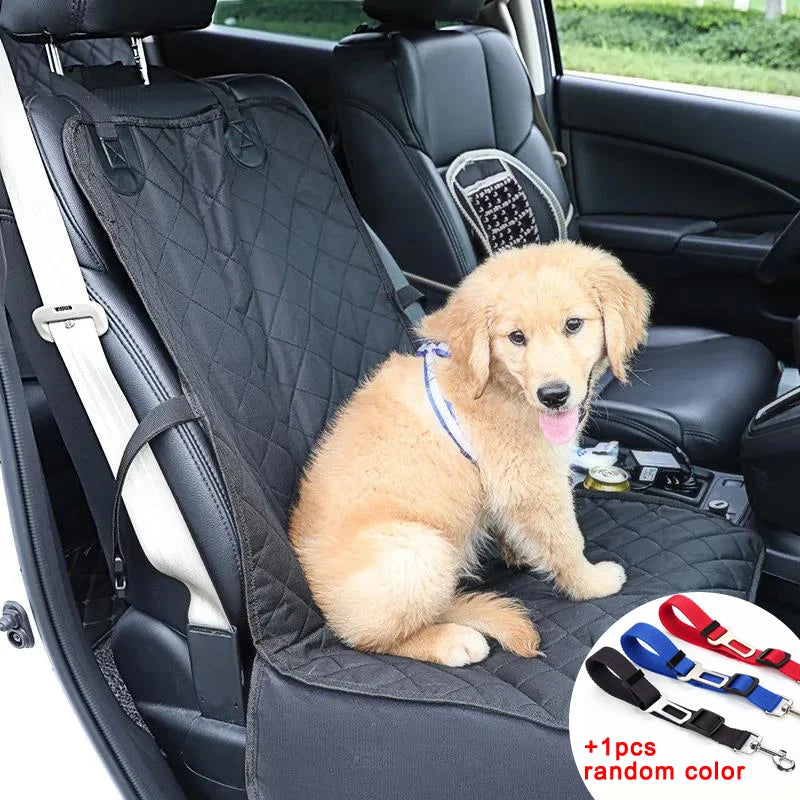 The Pawsenger Safety Seat