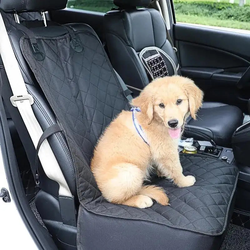 The Pawsenger Safety Seat