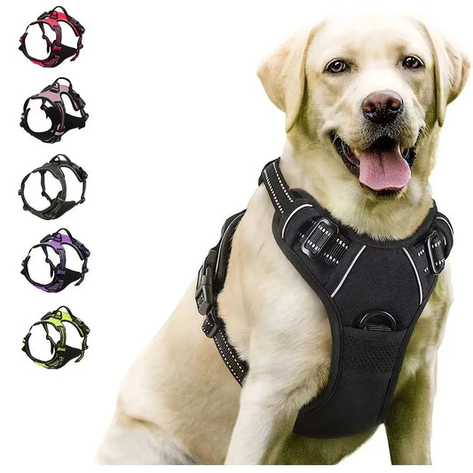 The SecureStride No-Pull Harness