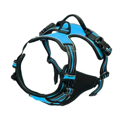 The SecureStride No-Pull Harness