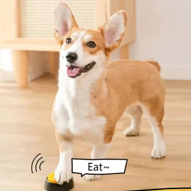 The Talking Paws Communication Set