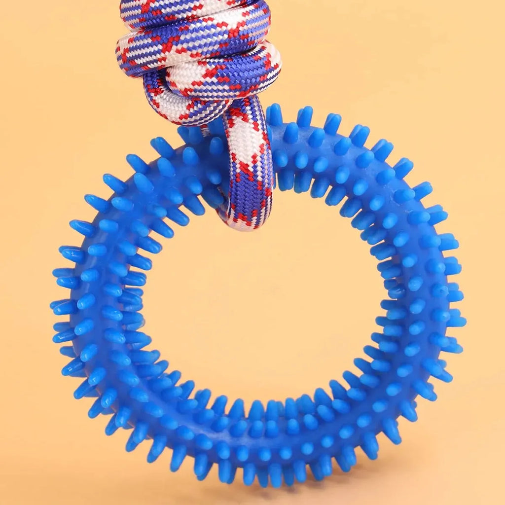 The ChewForce Tug &amp; Teether