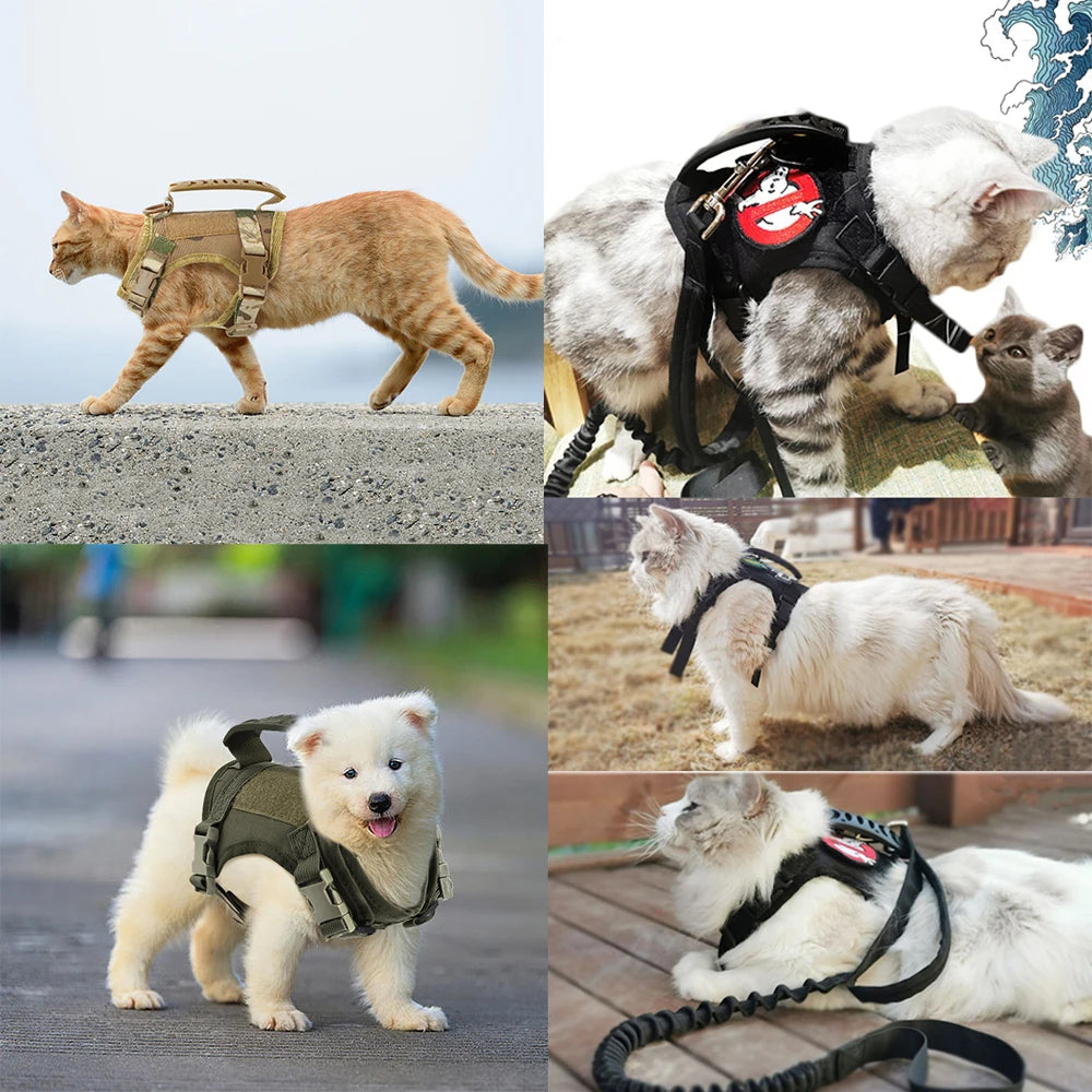 The RangerCat Tactical Harness