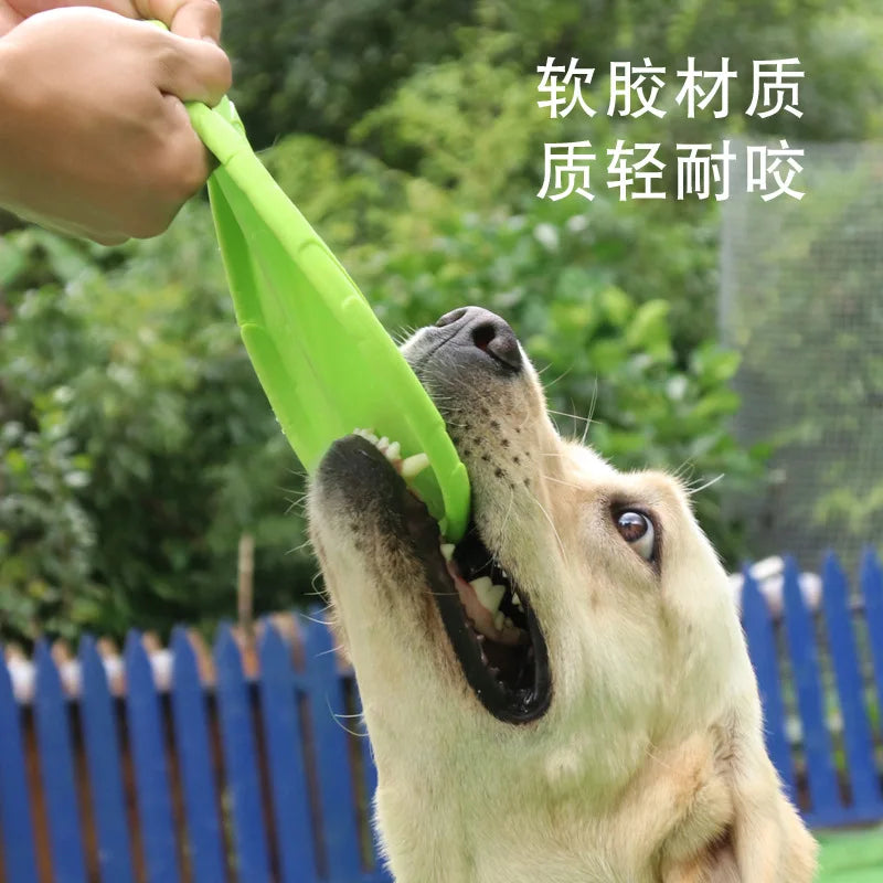 The FlexFlight Soft Frisbee