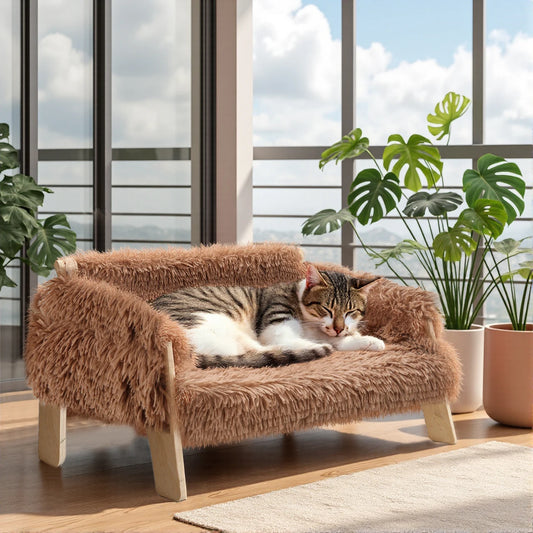 The Designer Pet Lounge