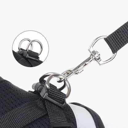 Premium Breathable Mesh Cat Harness and Leash Set