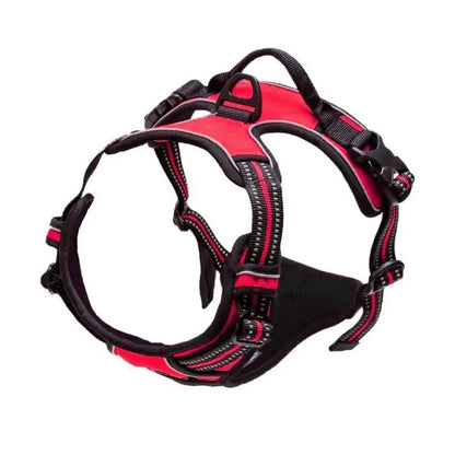 The SecureStride No-Pull Harness