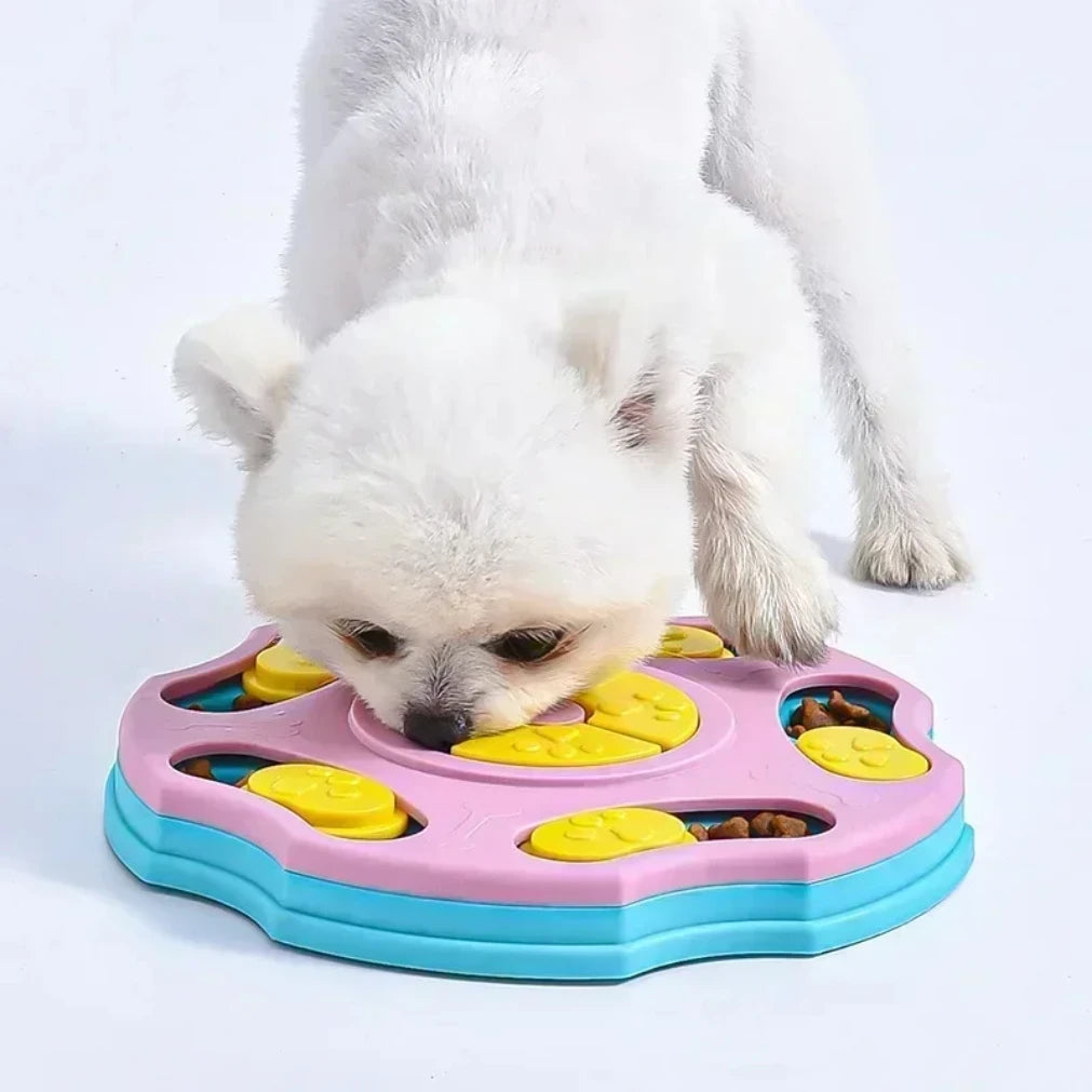 The PawPuzzle IQ Feeder