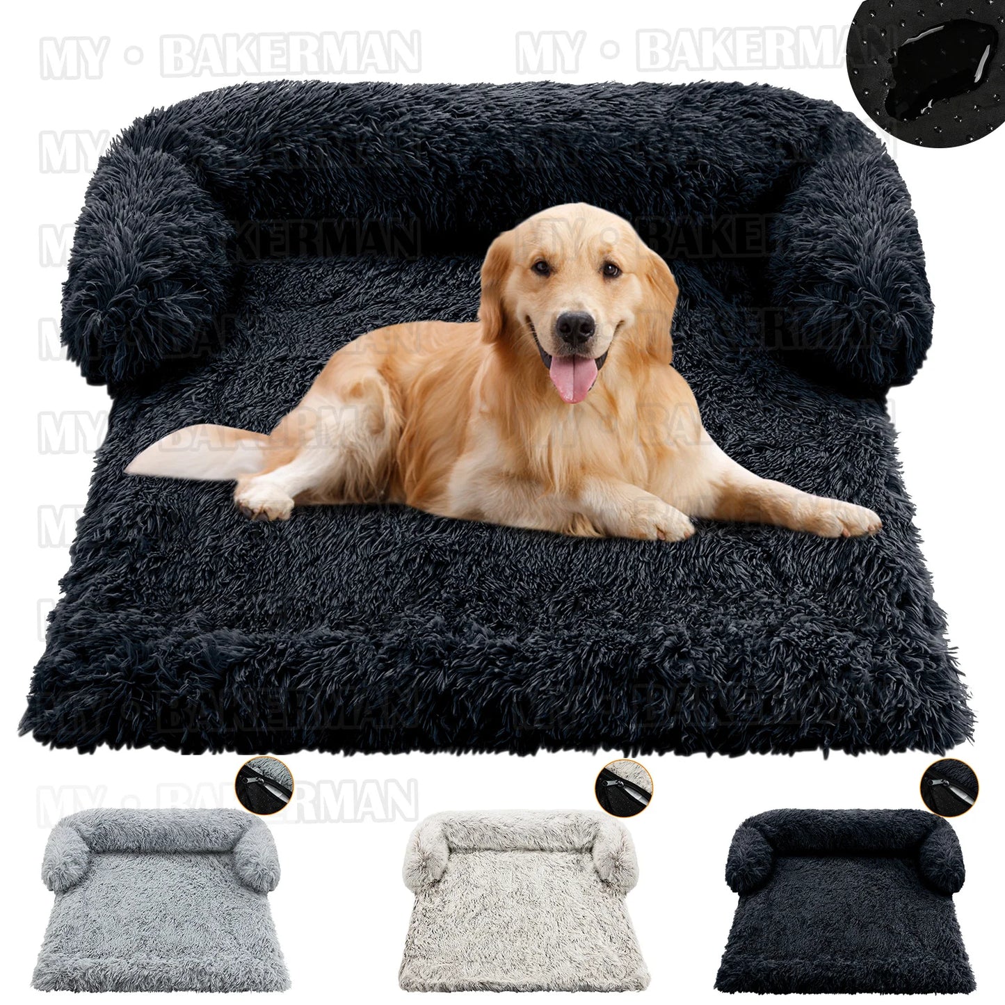 Your Dog's Sofa Haven