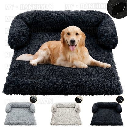 Your Dog's Sofa Haven