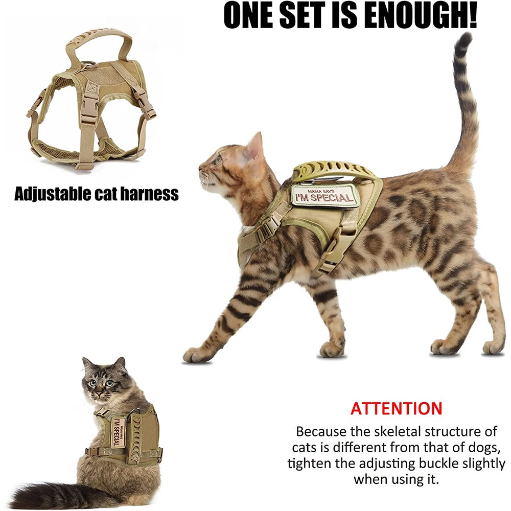 The RangerCat Tactical Harness