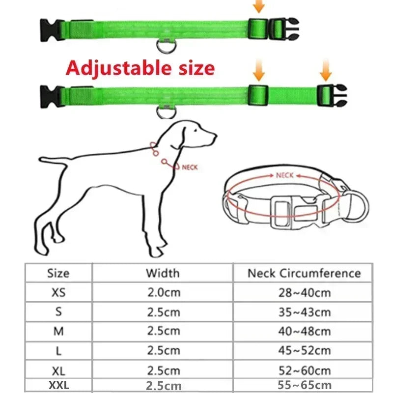 The NightOwl LED Safety Collar