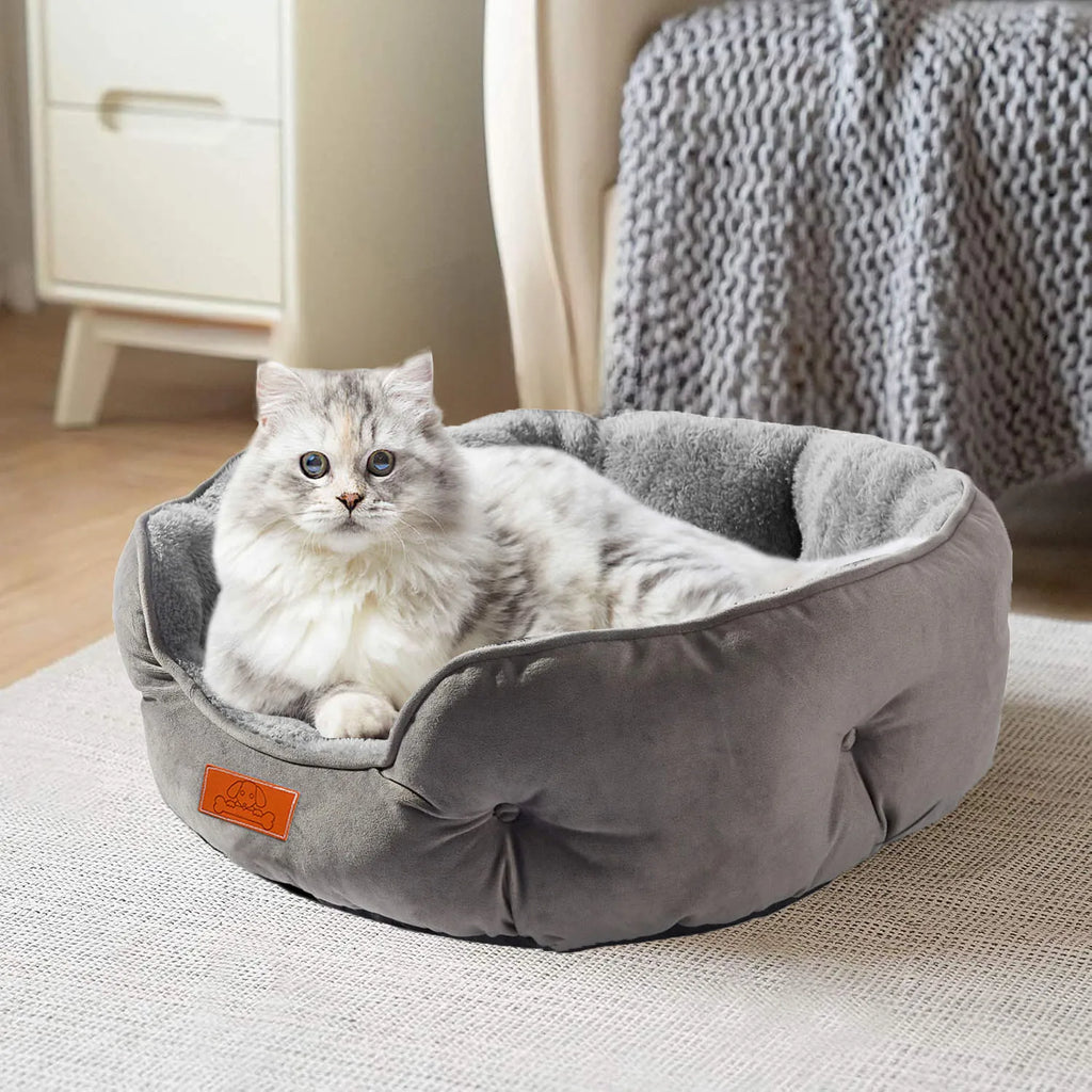 The Velvet Dream Bed