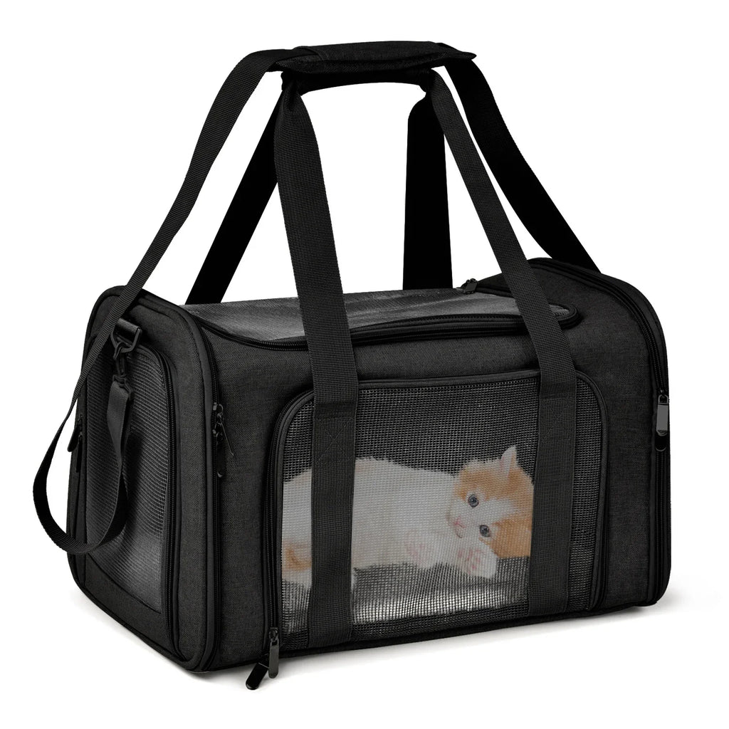 The CloudRest Premium Carrier