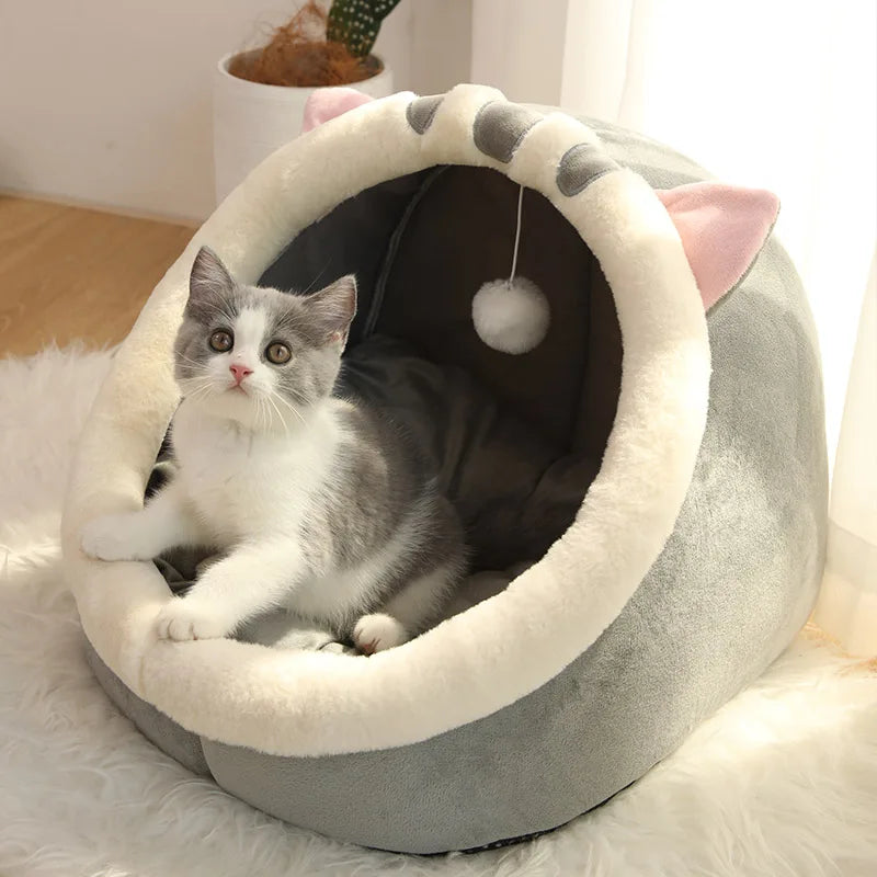 The Perfect Shelter for Your Cat