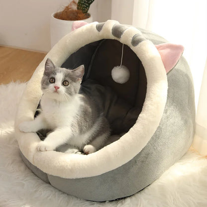 The Perfect Shelter for Your Cat