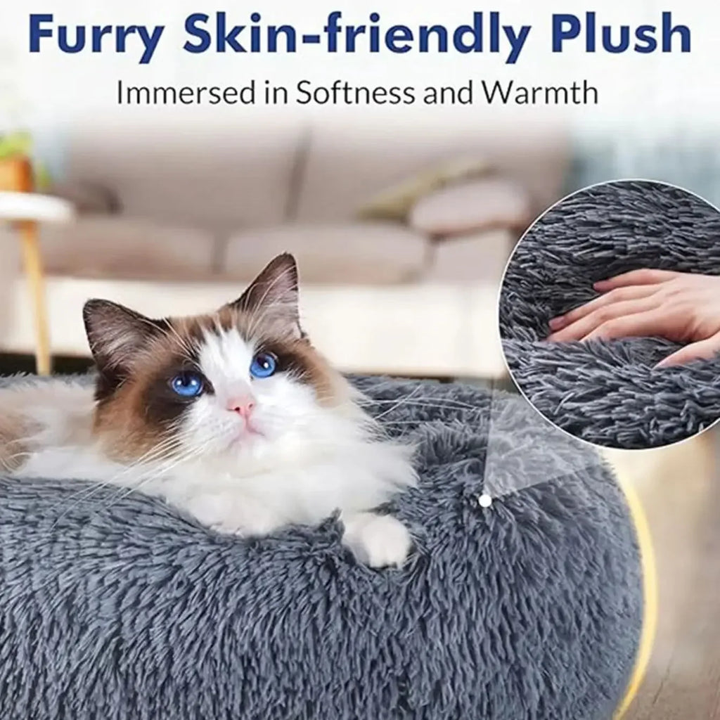 The Ultimate Cloud Sanctuary