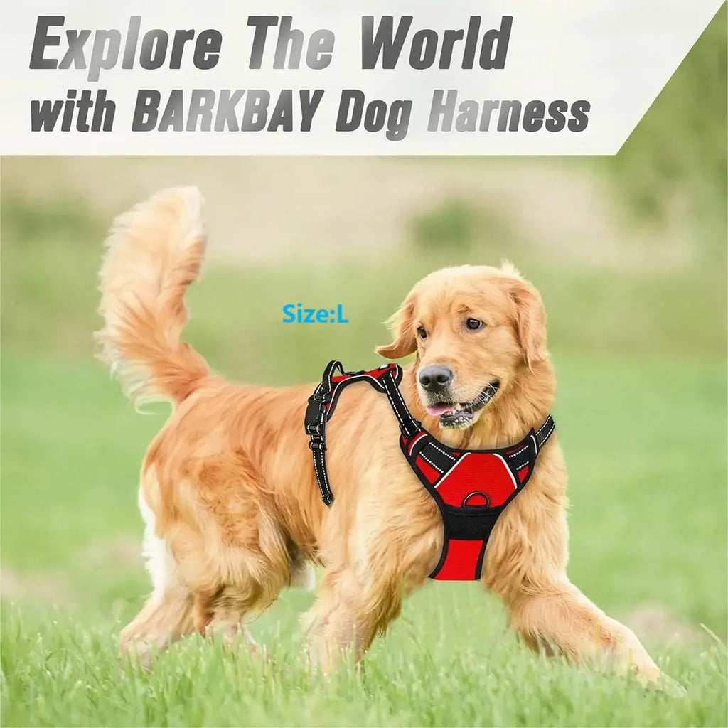 The SecureStride No-Pull Harness