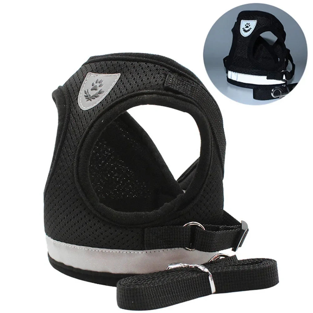Premium Breathable Mesh Cat Harness and Leash Set