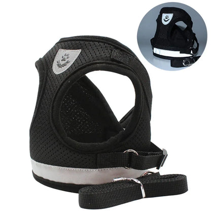 Premium Breathable Mesh Cat Harness and Leash Set