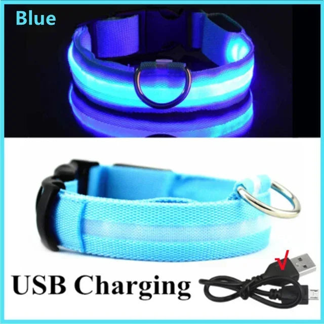 The NightOwl LED Safety Collar