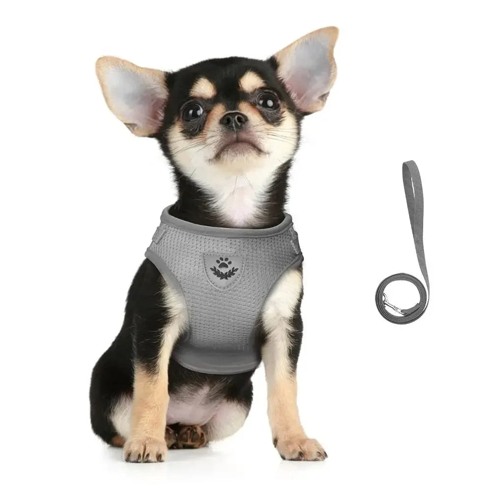 Premium Breathable Mesh Cat Harness and Leash Set