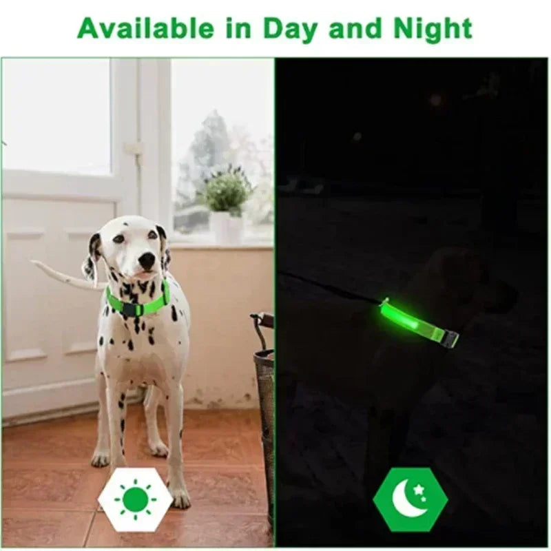 The NightOwl LED Safety Collar