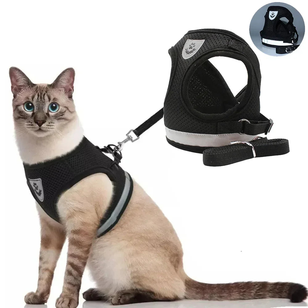 Premium Breathable Mesh Cat Harness and Leash Set