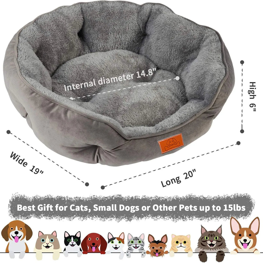 The Velvet Dream Bed