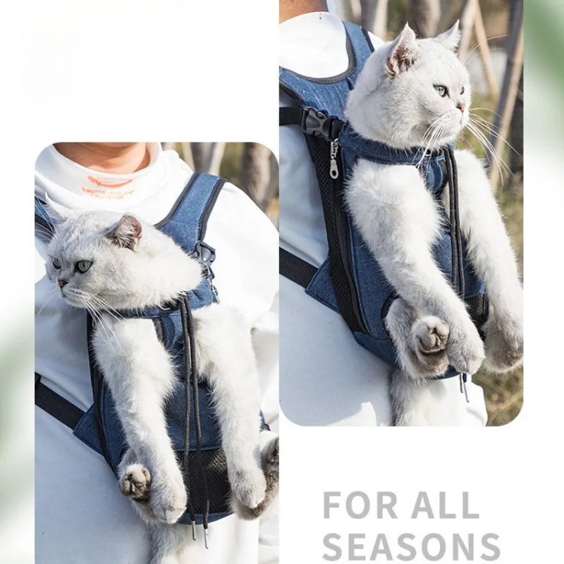 The PawsOut Explorer Carrier