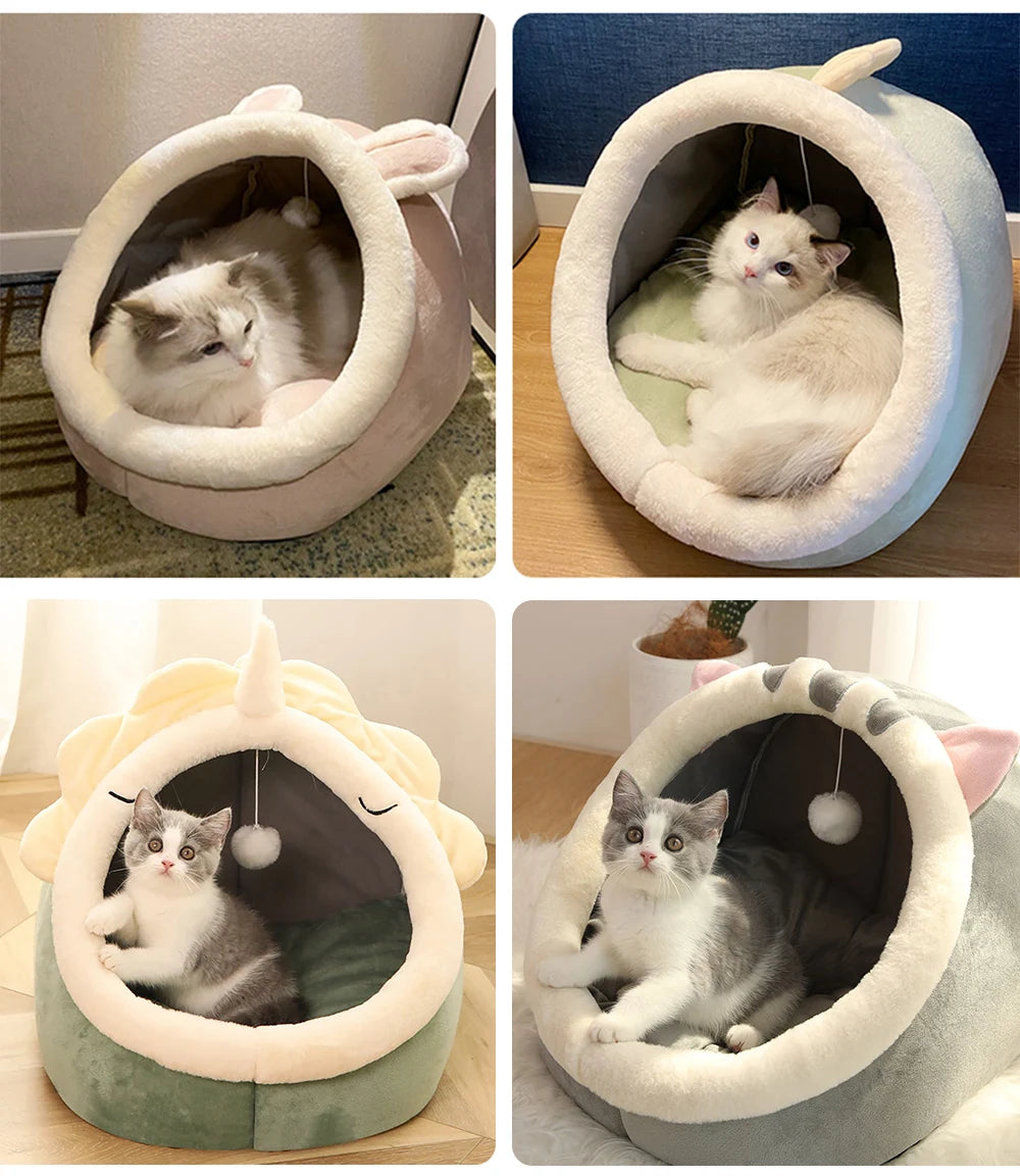 The Perfect Shelter for Your Cat