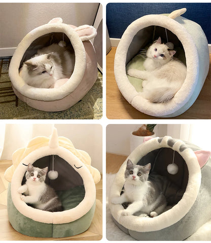 The Perfect Shelter for Your Cat