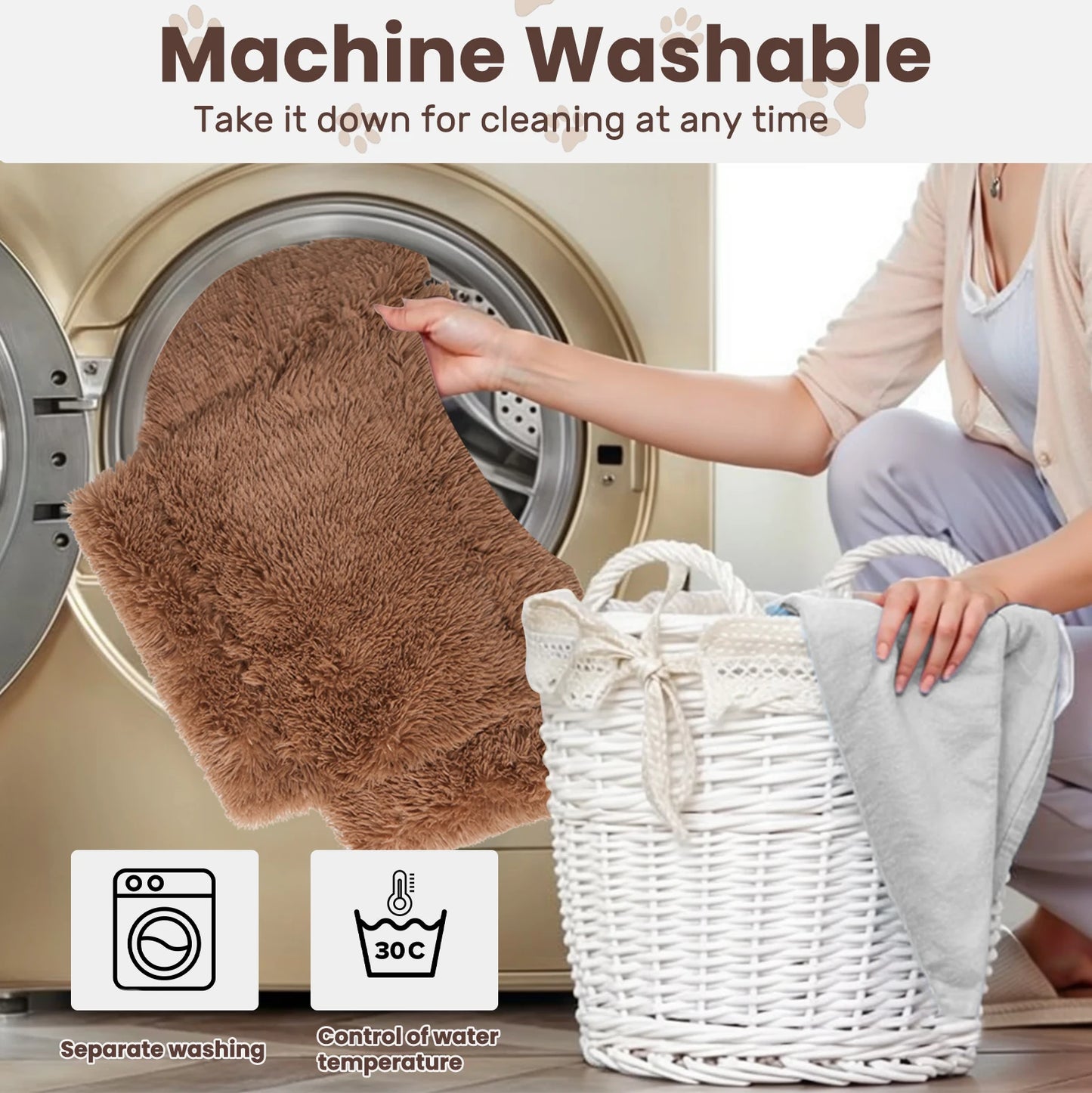 The Designer Pet Lounge