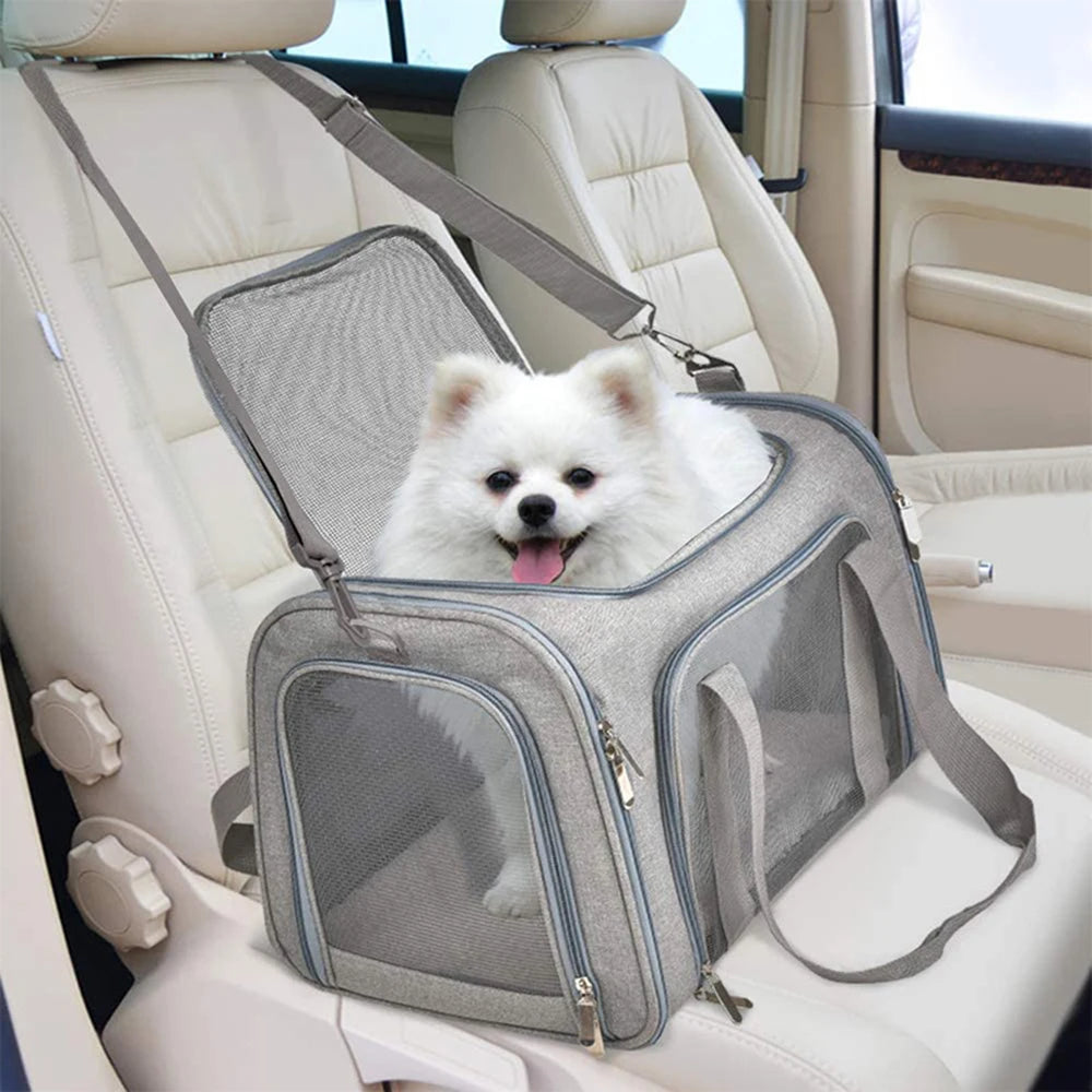 The CloudRest Premium Carrier