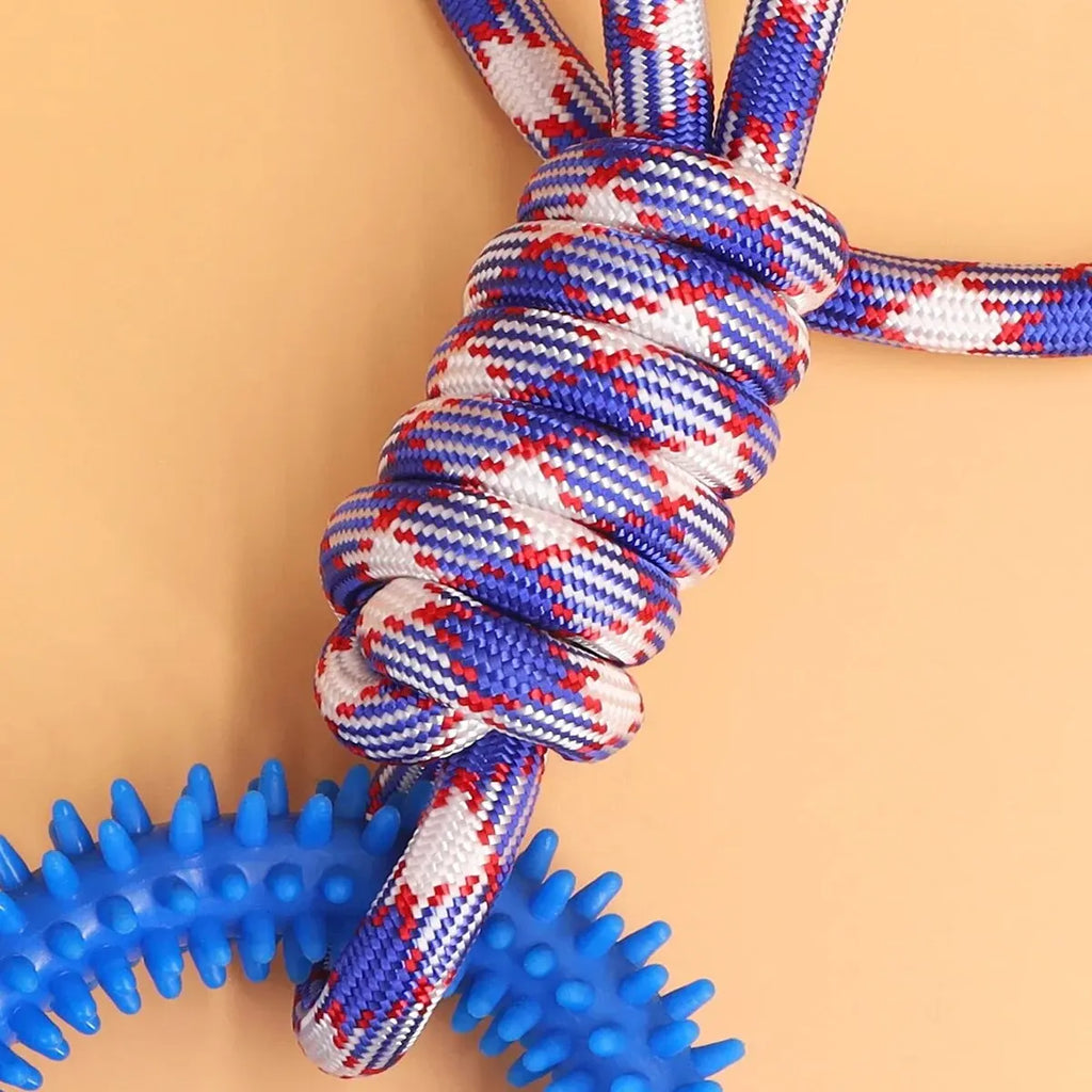 The ChewForce Tug &amp; Teether