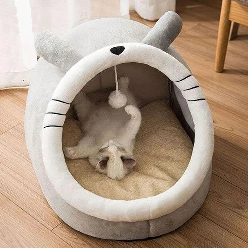 The Perfect Shelter for Your Cat