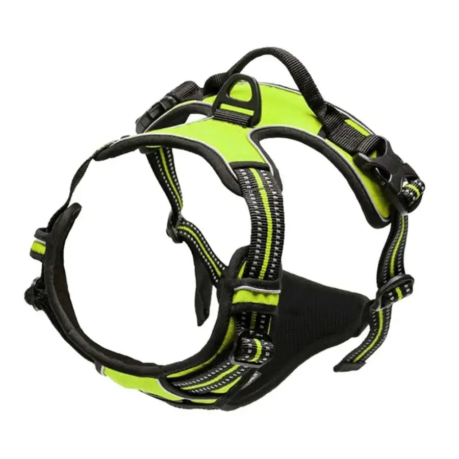 The SecureStride No-Pull Harness