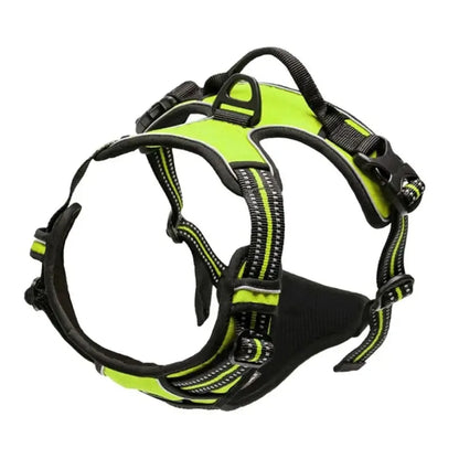 The SecureStride No-Pull Harness