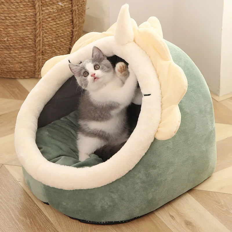 The Perfect Shelter for Your Cat