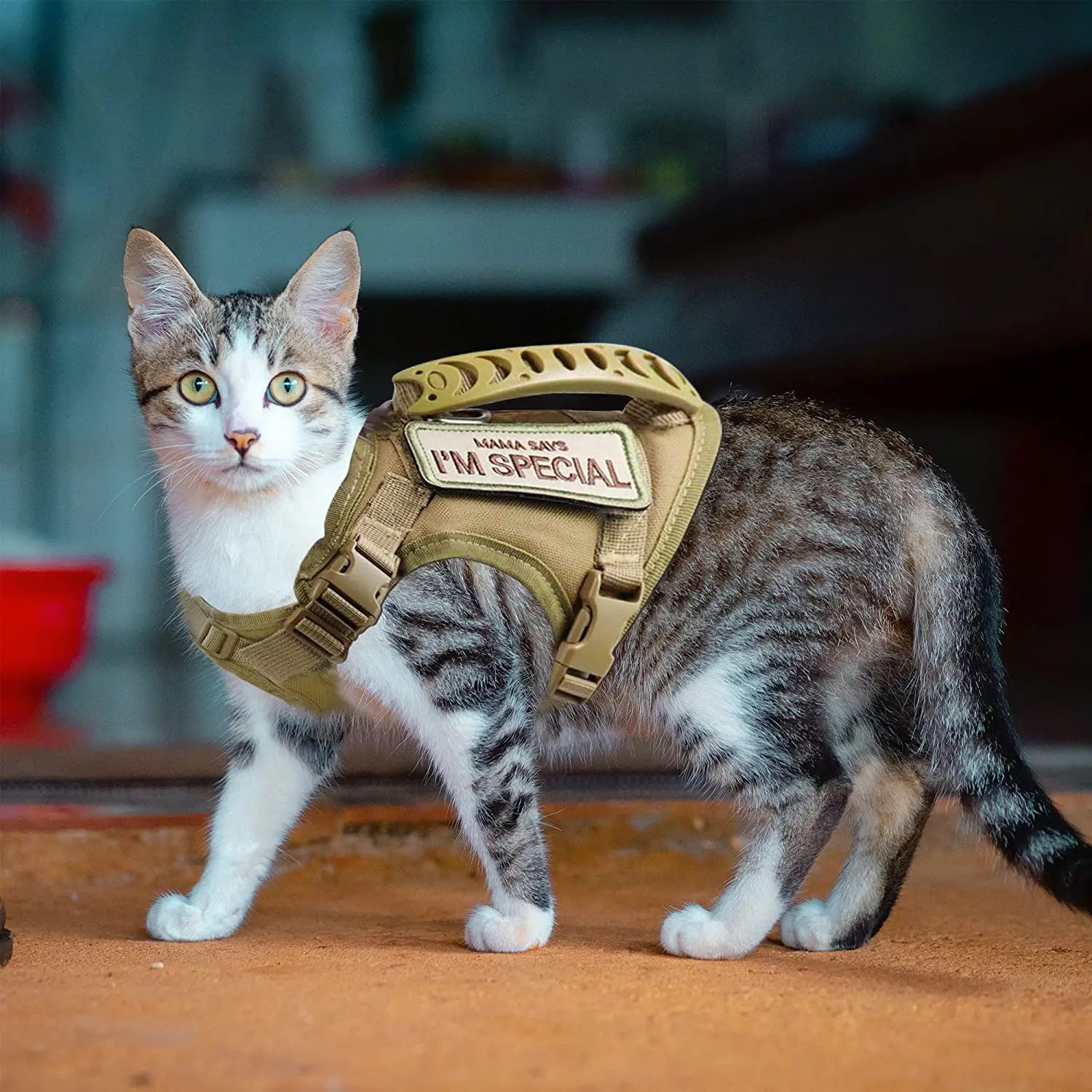 The RangerCat Tactical Harness