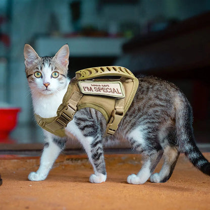 The RangerCat Tactical Harness