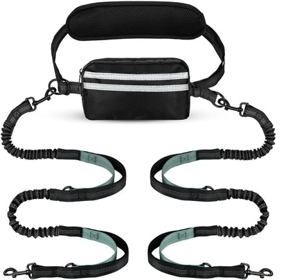 The TwinTrek Hands-Free Leash Set