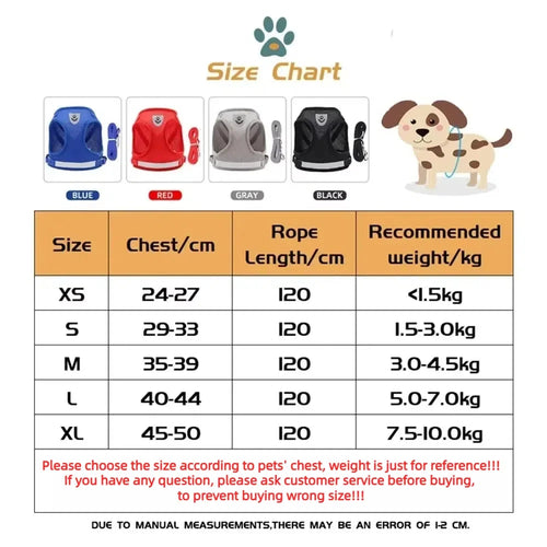 Premium Breathable Mesh Cat Harness and Leash Set