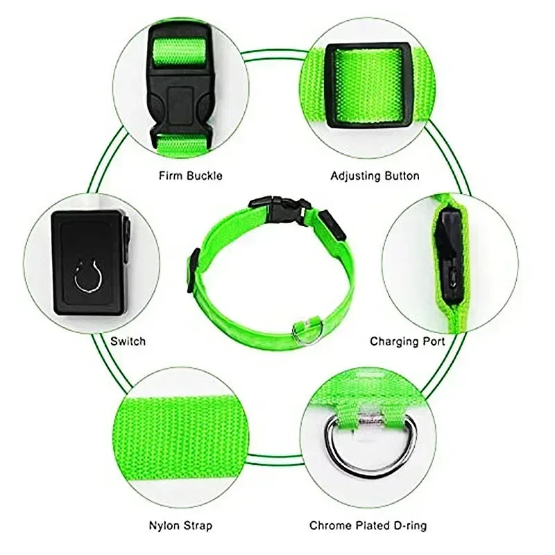 The NightOwl LED Safety Collar