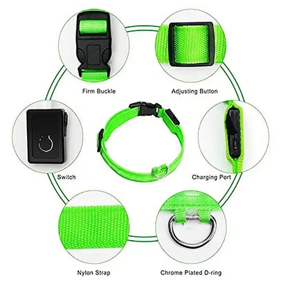 The NightOwl LED Safety Collar