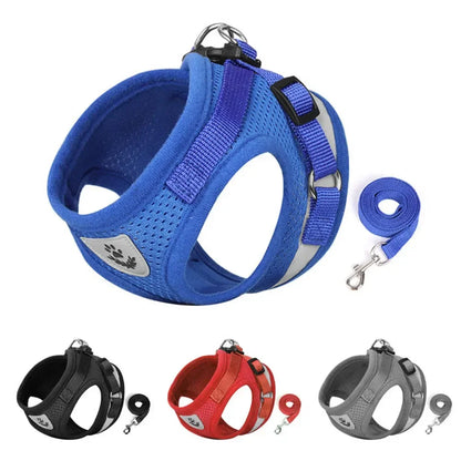 Premium Breathable Mesh Cat Harness and Leash Set