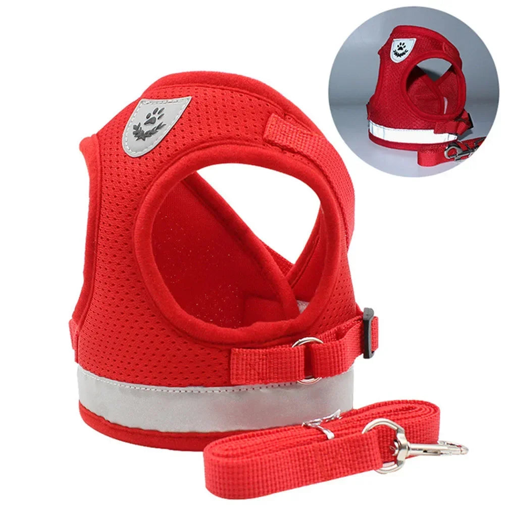 Premium Breathable Mesh Cat Harness and Leash Set